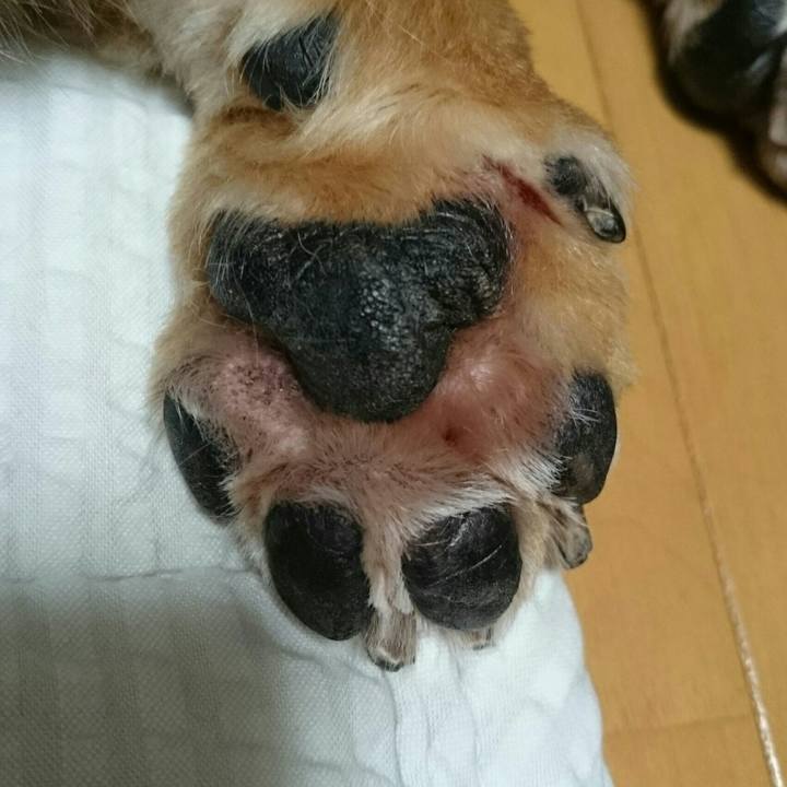 4d6e866b 8749 4ad1 bf52 189f12e7de94