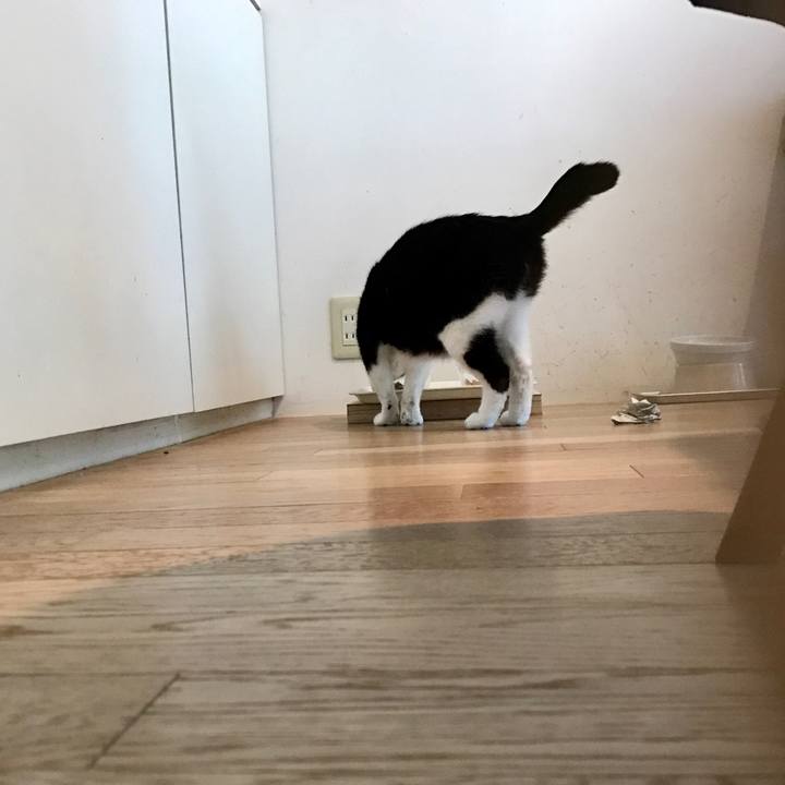 4d6edf57 01c3 4906 a54f f94a6590ac8a