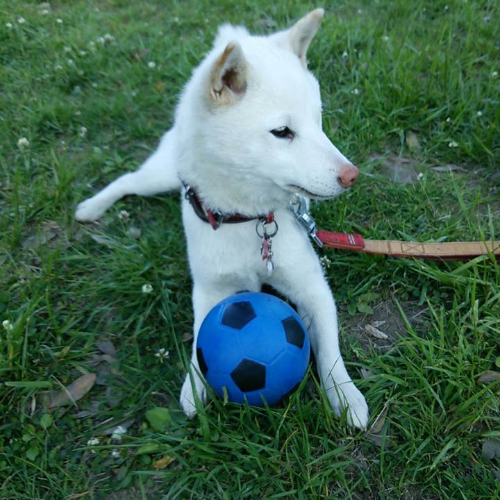 4d6fe4c2 d1fb 4103 921c 613c01a86011