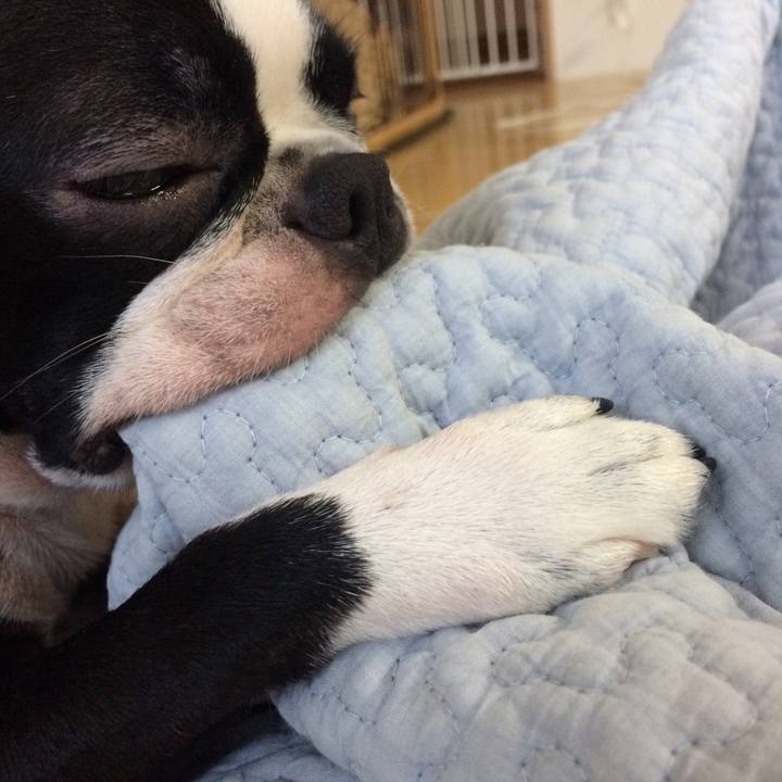 4d703be4 5237 45a1 897b eeef4af6627a