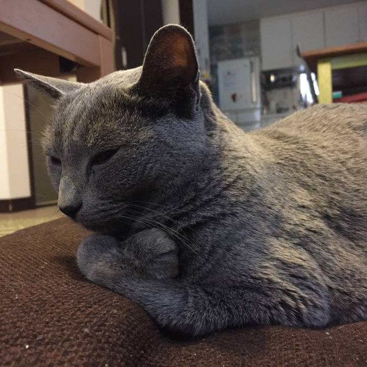 4d7094c0 dbd7 4798 b66e 6a191d086ba0