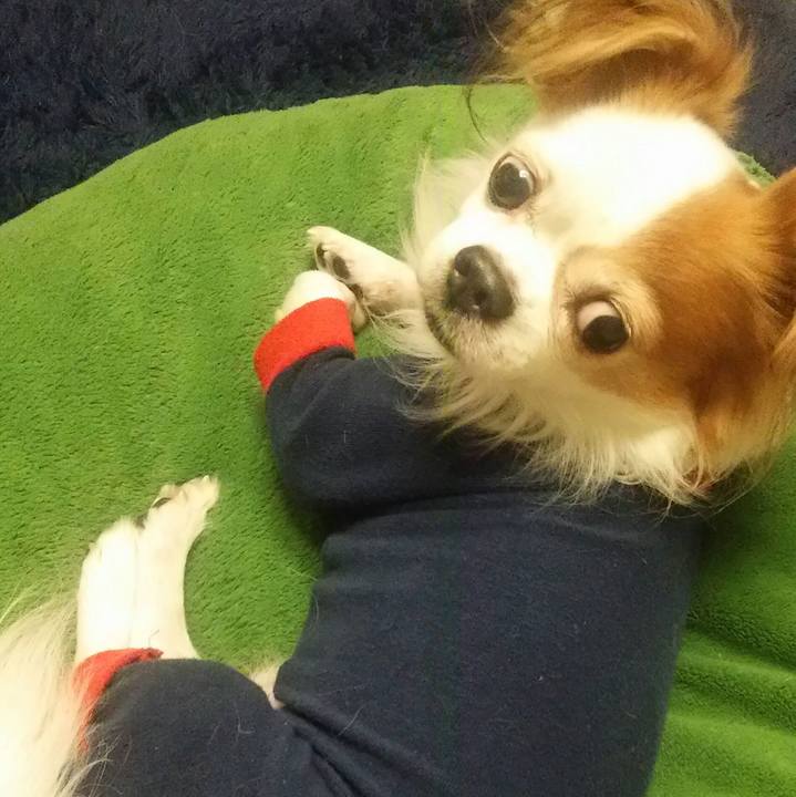 4d70b8d8 d8ff 4d97 b987 d13594156f0b