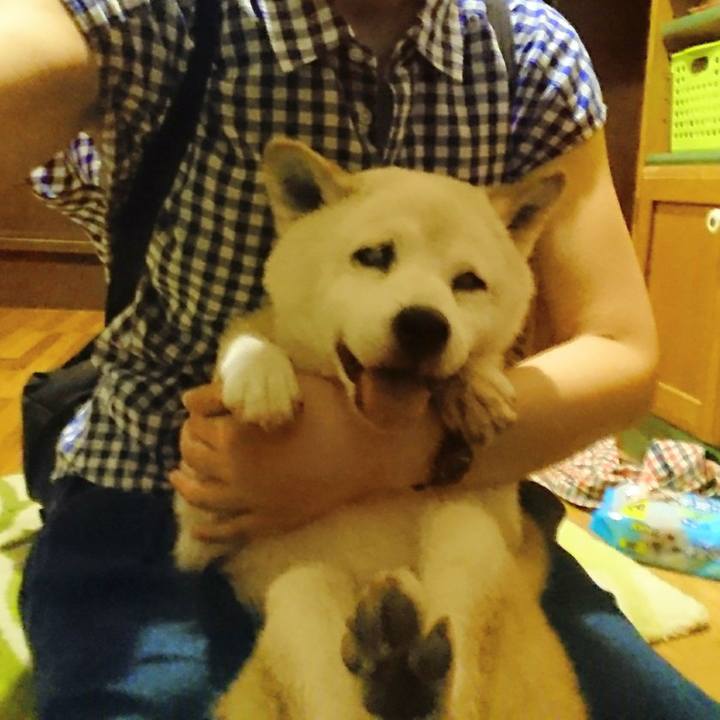 4d70e6b9 efa4 42c9 aff6 92e9796e489b