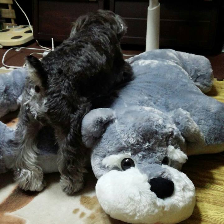 4d718ec0 c49b 4253 a8ca fb6e7eb573be