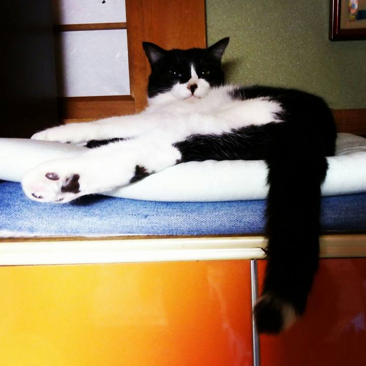 4d71c658 67c0 4c26 96ea 2b1ece1b85ab