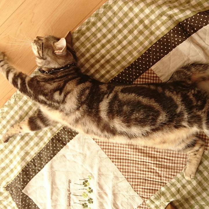 4d727851 ae24 4ce6 bc25 1241cca01fc6