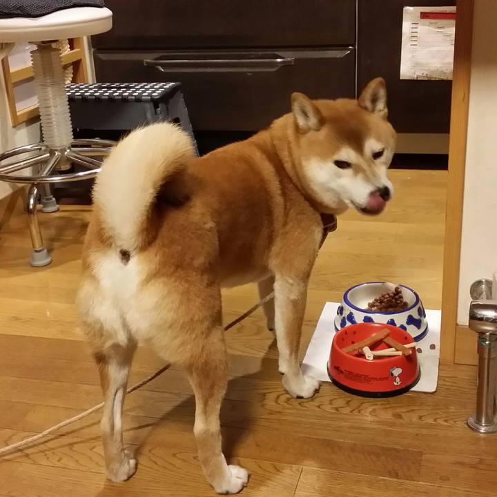 4d7279a2 b6c8 48ff aea8 cc11e4cd6081