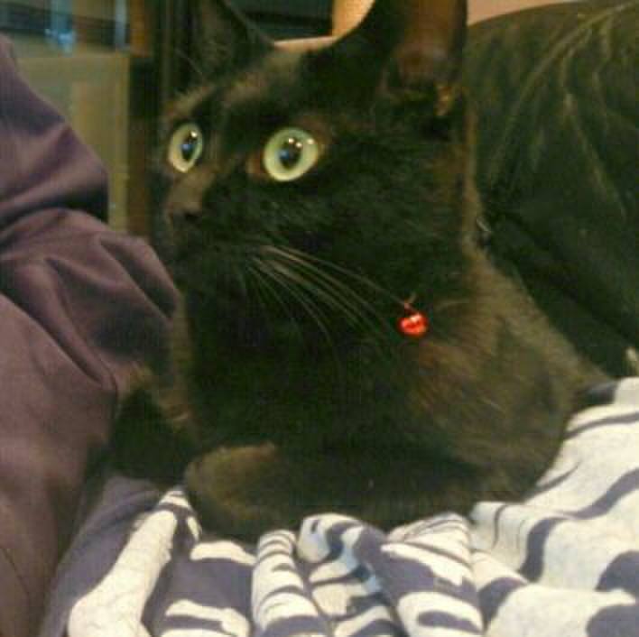 4d729d0f 32be 4780 8255 785b37253e60