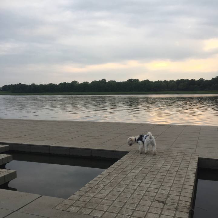 4d72fcd2 522b 42ea 8b9f a24690504072