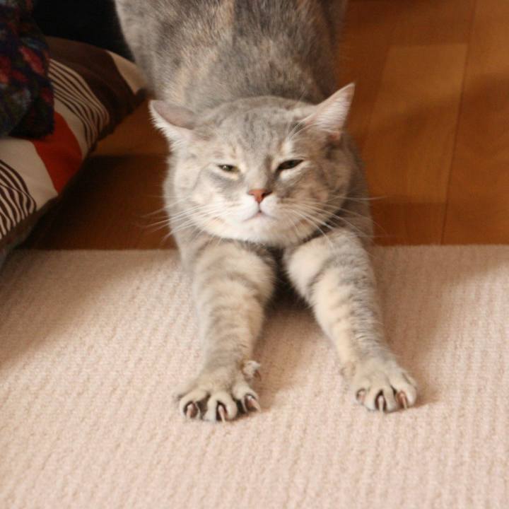 4d7311cb 3022 430f bf1b 6ad2f5c5dadb