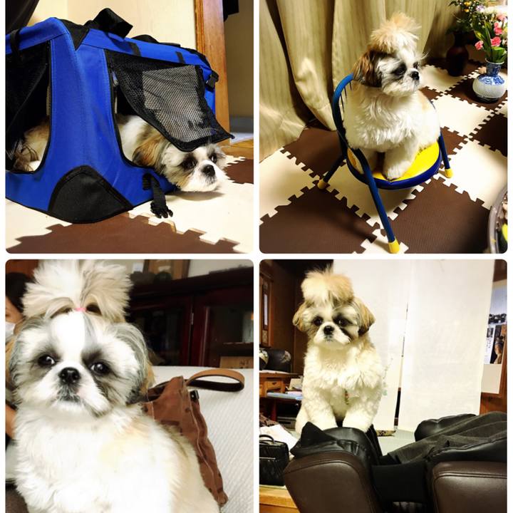 4d73ce92 21ed 4f92 8306 9f2146cc479c