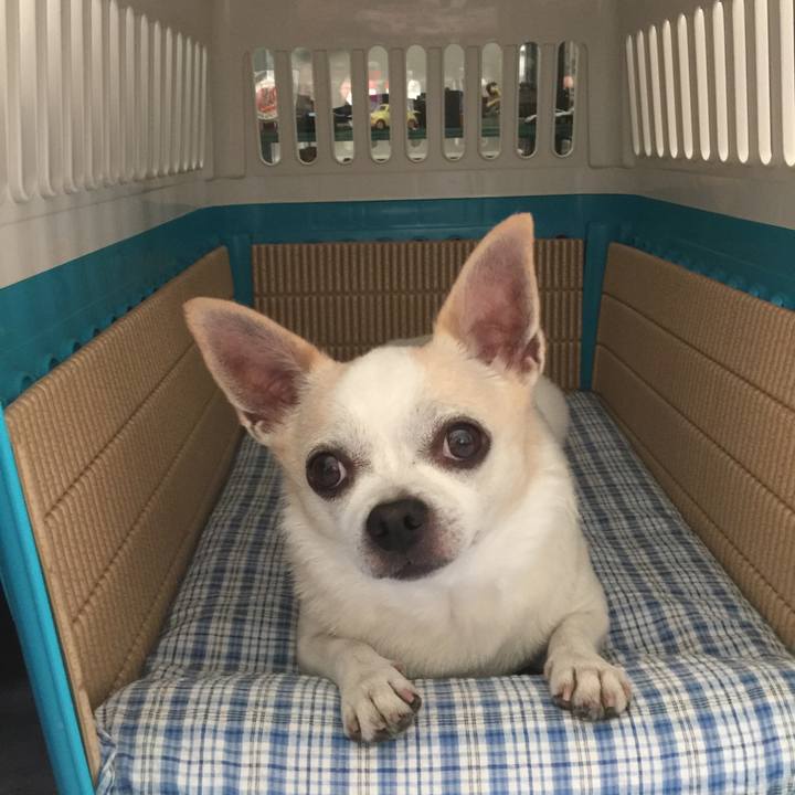 4d74921a 2f8c 418b b09b 973be16912b7