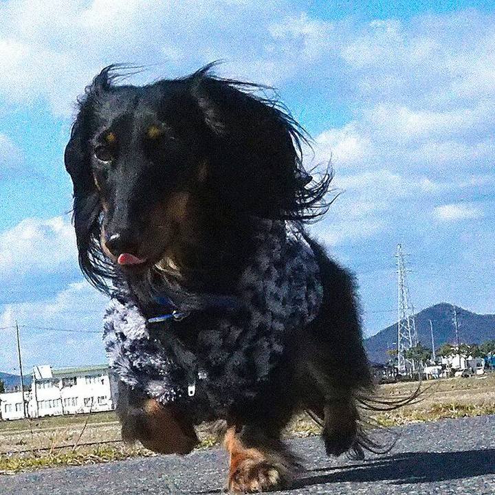 4d74ac38 ac5c 44d9 811b 7d00ff8beabf