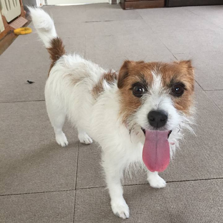 4d74fd2e 9d63 41fa 867c b84f2902db22