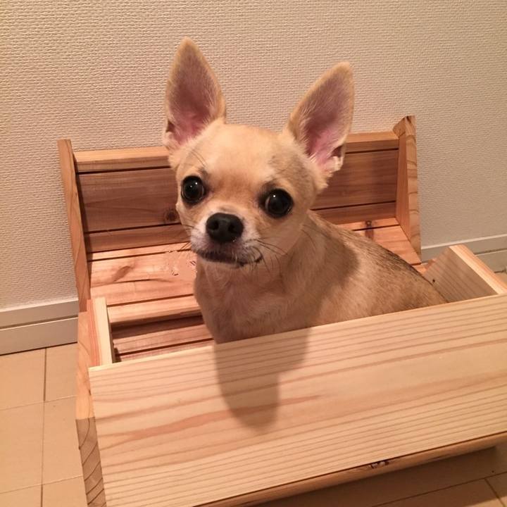 4d74fee8 a840 4e67 a40d 5cc607e7879c