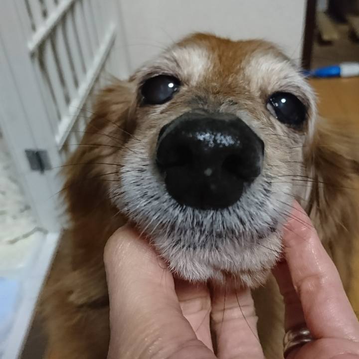 4d750a6d 2204 4a16 a1b2 8b629598ec00