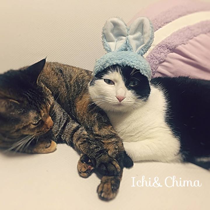 4d753720 c1dd 4cd1 8de4 9fa5ecbfe670