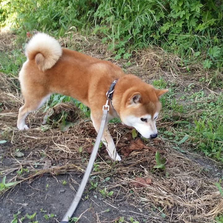 4d75799a 716d 449a a714 acbfe2bfa020