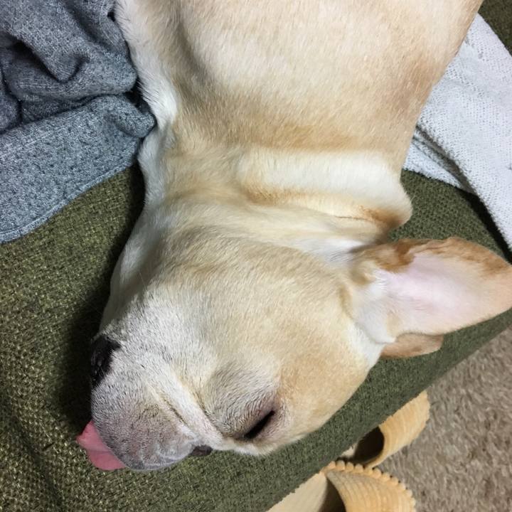 4d75ce94 1e99 4a3e baf9 5969a1469d71