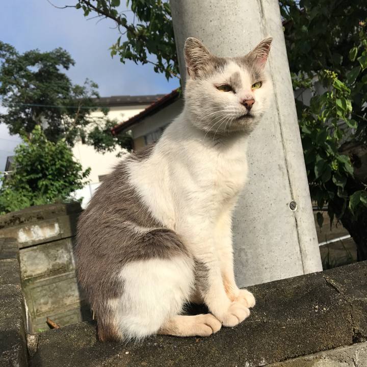 4d75d8f2 6f07 490e ad32 ed6e9d9ee7e6