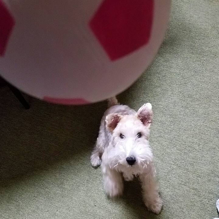 4d75ed11 f9bd 4e98 b8d5 be7f5926ee11