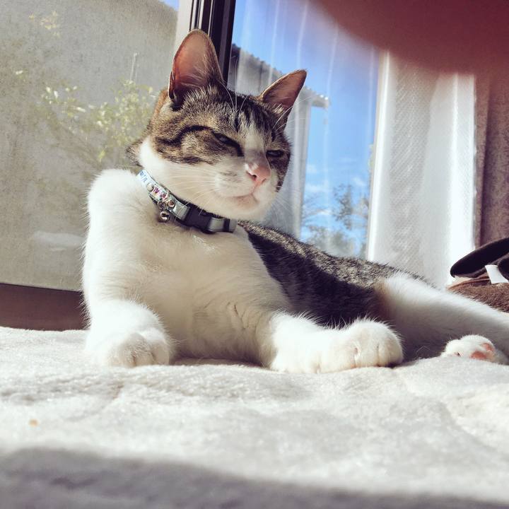 4d763446 9da6 4335 88f8 1929ab929e18