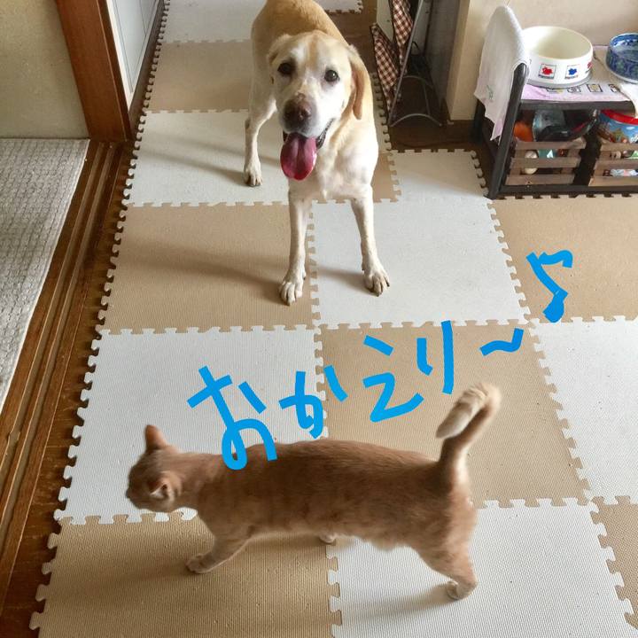 4d763f62 00b0 4dfb 906b c640e939cba8