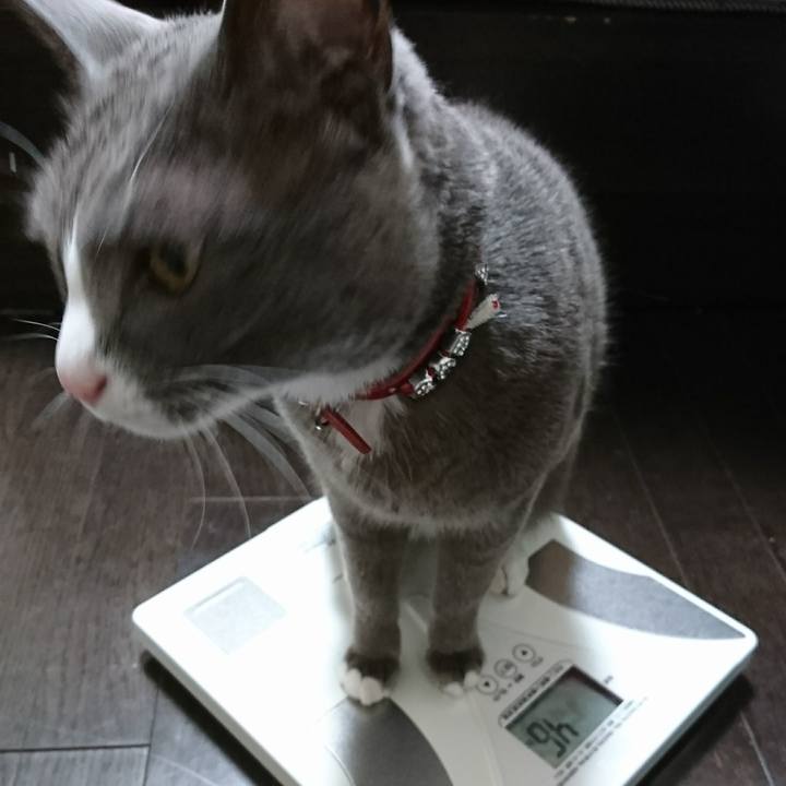 4d77399e 4820 4fef 81c0 4baf8d43c4a1