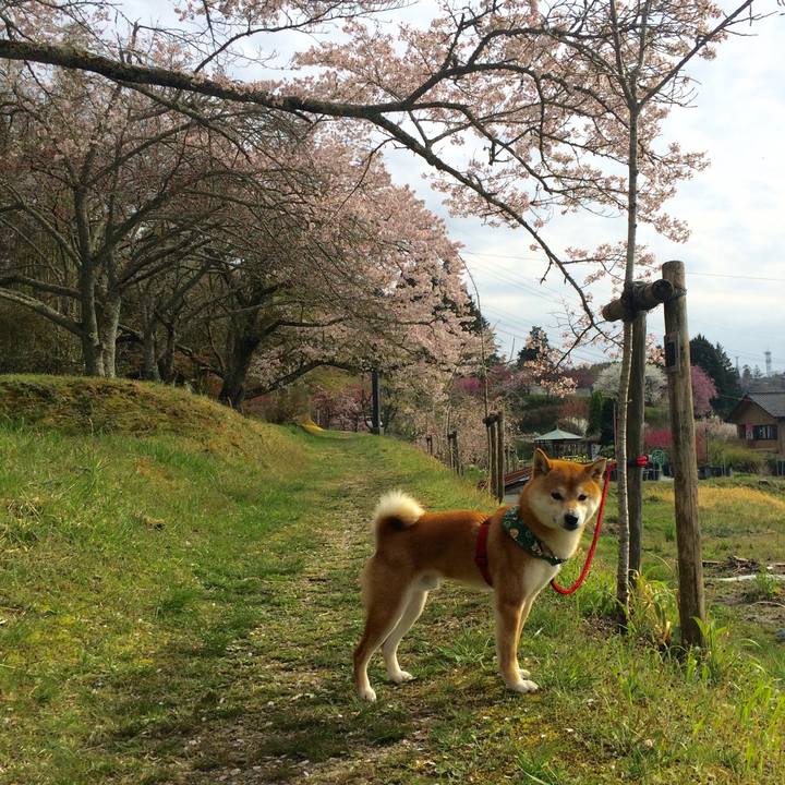 4d777efa d04c 4e58 a410 c4ddd75fc23f