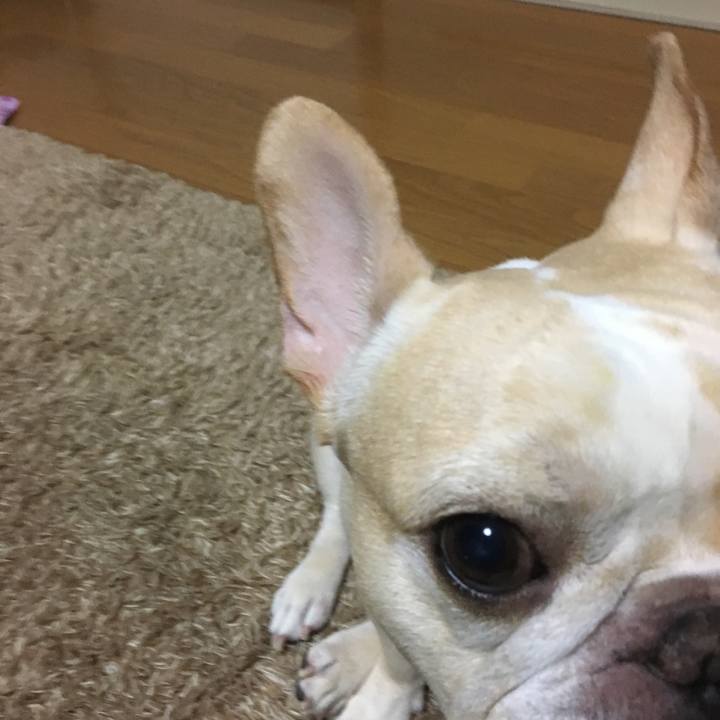 4d77fc32 26e5 45f7 b996 6c56ab341587