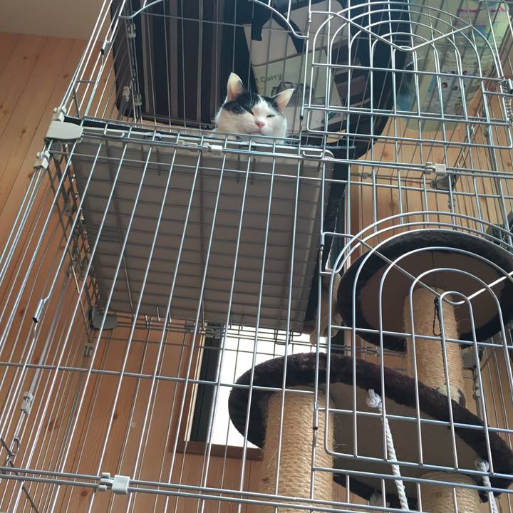 4d78397b 6440 4c7a 909d db75290d2b13