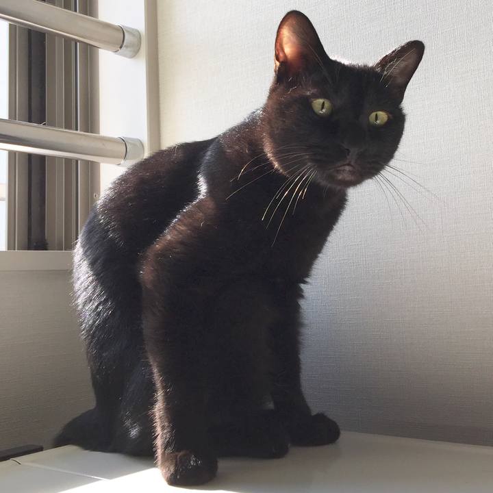 4d788ad1 3a87 4163 bae6 fb1ec1b09303