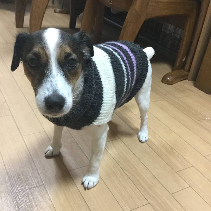 4d78afda 7844 44e5 8ae2 135964d813b4