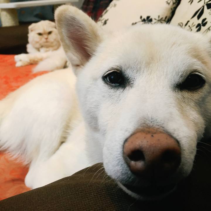 4d79186f 3597 477d aa50 657d8207c00a