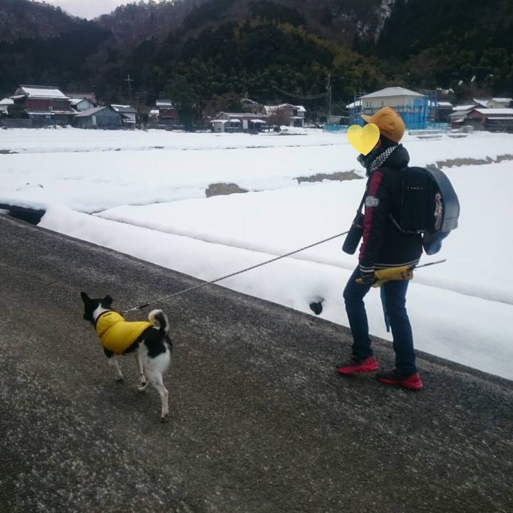 4d7972b5 94f2 4529 b924 d425955dc362