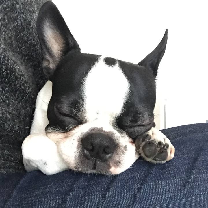 4d7a2603 e3ca 4358 8193 011fd9ab12ab