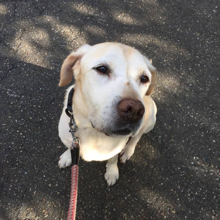 4d7aaa91 a745 4a54 8ee8 701444d74964