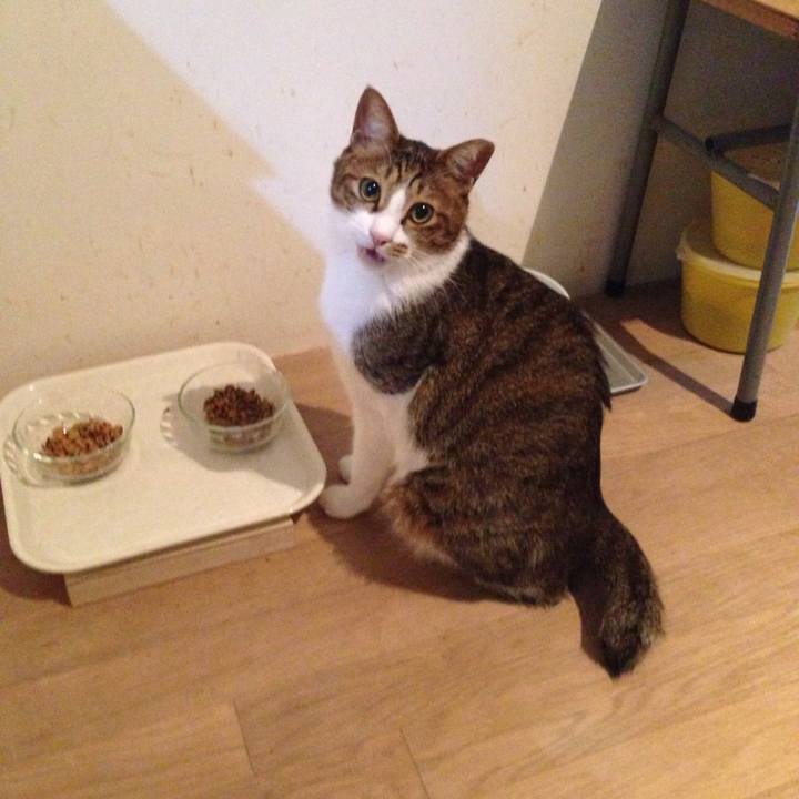 4d7ab4f9 71b2 4a1b a5d2 829b4dd7c2d7