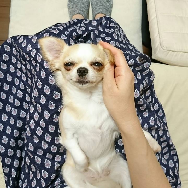 4d7abab7 378d 4588 ae8b f4f38933c127