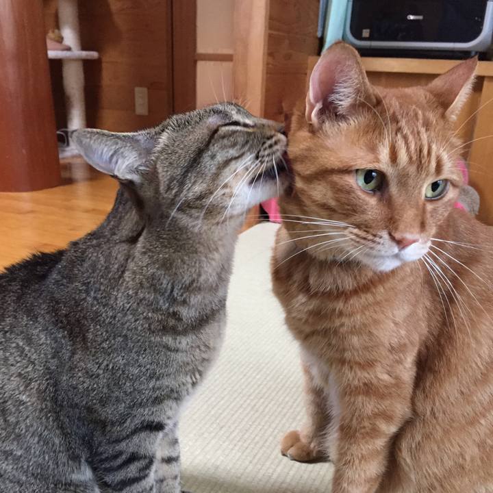 4d7afc96 98e5 4de8 ab2d afffb4e75c39