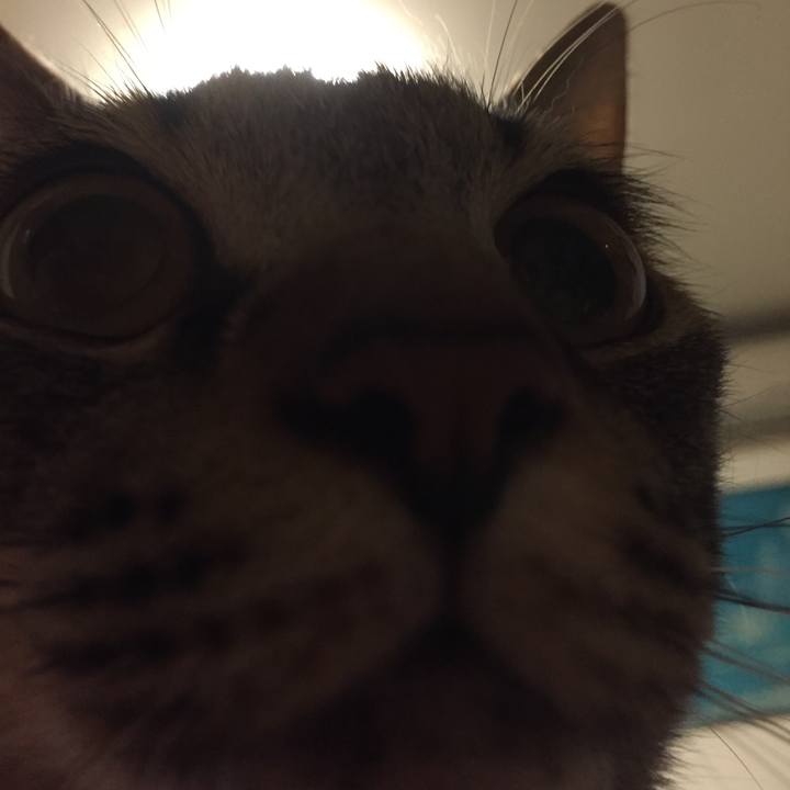 4d7b02bc e362 4dc4 a56e d0c7cc1c1f20