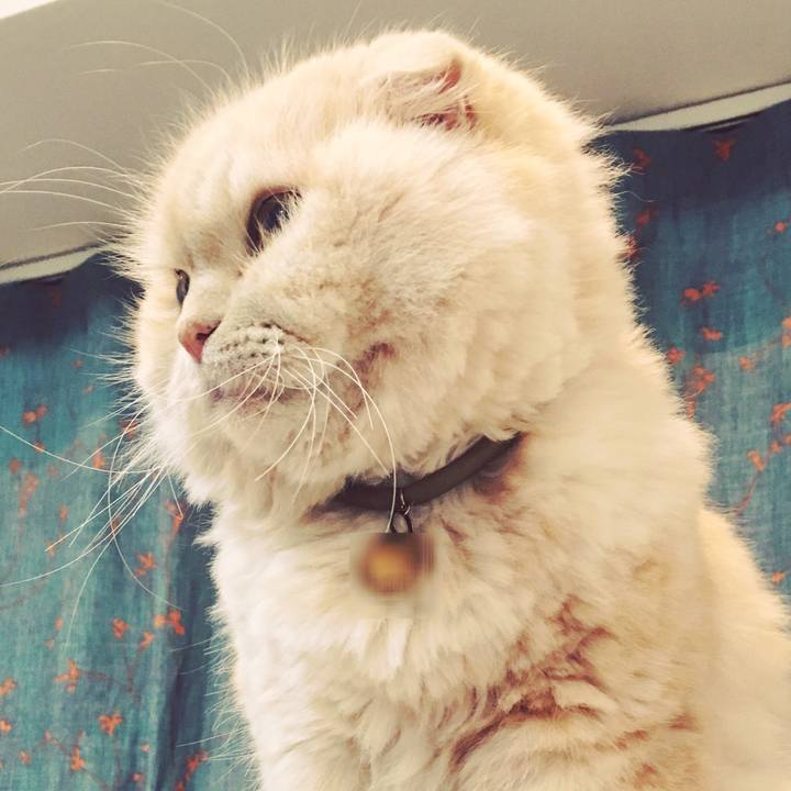 4d7bcc68 688b 440f 88c8 9757b25f5700