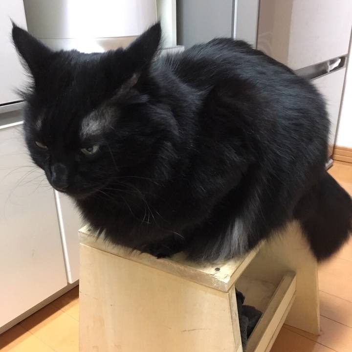 4d7c06e5 a2a9 4087 9938 a35ab8678e2d