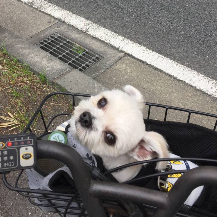 4d7c54ea fab7 4db2 9b8e 78f3c7e891cb