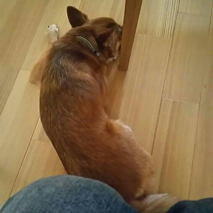 4d7c55f3 06e1 4baa aca3 b0b5bd5ff2bd