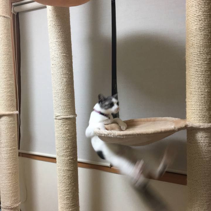 4d7c7114 301c 43de bf34 b663169971c2