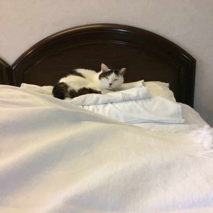 4d7c8c83 4790 4fe7 ab1e 6c13d8417ce7