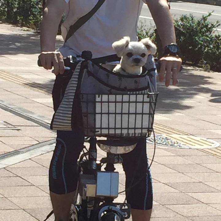 4d7c9ecb 79b4 436e a973 4b20be44d76a