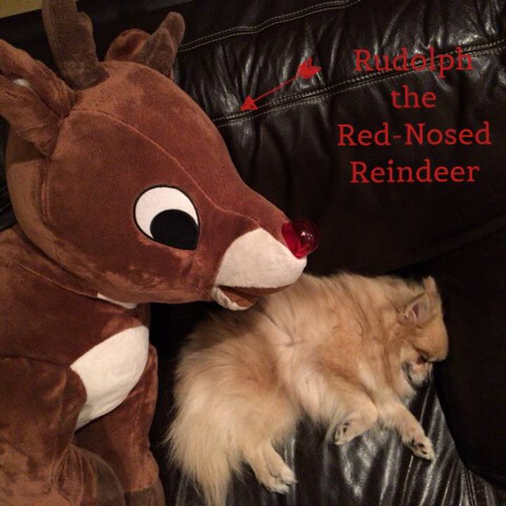 4d7db272 663d 427a 82a7 6f4aaf83fdd6