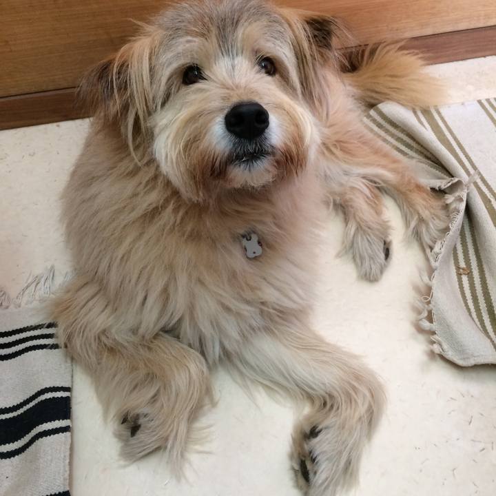 4d7f2b69 639f 4d03 9a92 49f6c707bc07